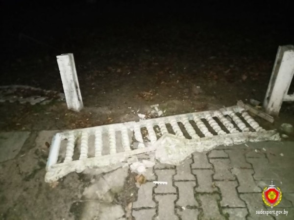 Пьяные подростки в Дрогичинском районе «навеселились» на уголовное дело