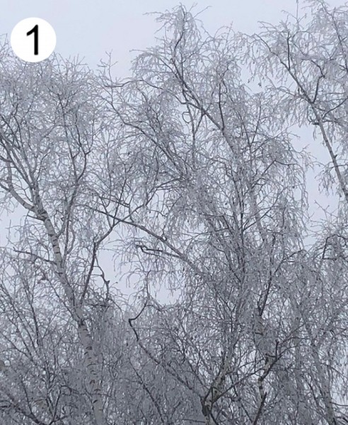 Проект «Это красиво: Барановичский край на фото». Голосование в пятом туре