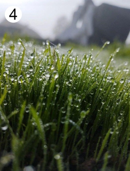 Проект «Это красиво: Барановичский край на фото». Голосование в пятом туре