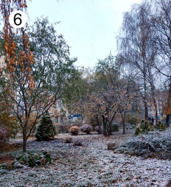 Проект «Это красиво: Барановичский край на фото». Голосование в пятом туре