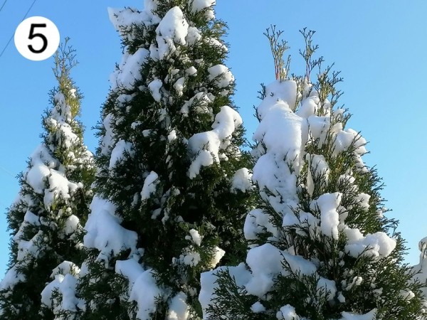 Проект «Это красиво: Барановичский край на фото». Голосование в пятом туре