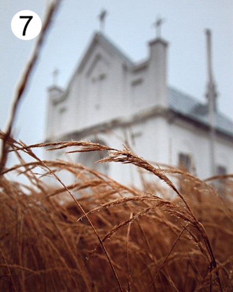 Проект «Это красиво: Барановичский край на фото». Голосование в пятом туре