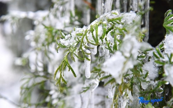 Синоптики сообщили о погоде в Брестской области на 6–8 декабря