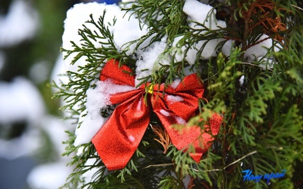 Снег и мороз! Прогноз погоды на неделю с 1 по 7 января