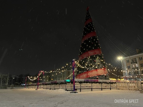 Все ёлки Бреста зажгут одновременно 16 декабря Все ёлки Бреста зажгут одновременно 16 декабря