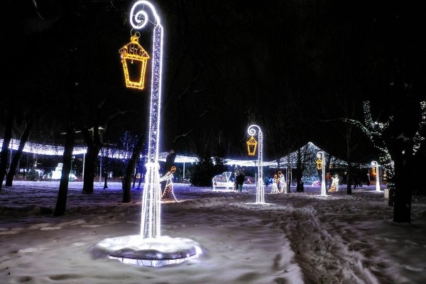 Вы этого точно ждали: сегодня вечером в Парке Мира включают новогоднюю иллюминацию!