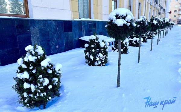 До -19°C, сильный ветер и снег. Какая погода будет в Беларуси 19-24 января До -19°C, сильный ветер и снег. Какая погода будет в Беларуси 19-24 января