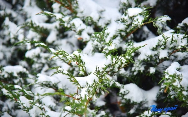  Морозы ударят в Барановичском регионе в выходные