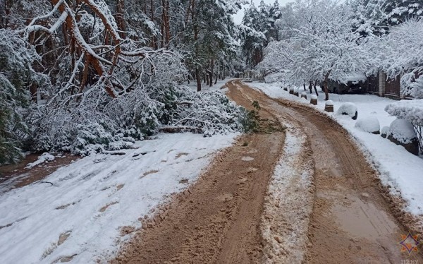 Непогода на Брестчине. Без помощи спасателей не обошлось Непогода на Брестчине. Без помощи спасателей не обошлось