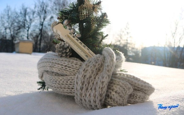 Оранжевый уровень опасности из-за порывистого ветра объявлен в Беларуси на 23 января Оранжевый уровень опасности из-за порывистого ветра объявлен в Беларуси на 23 января