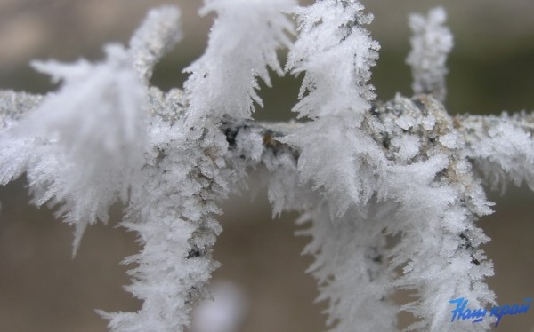 Оранжевый уровень опасности объявлен в Беларуси на 2 января