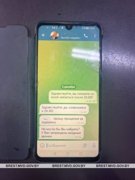 Пинчанка попыталась заработать на бирже и лишилась более 30 тысяч рублей Пинчанка попыталась заработать на бирже и лишилась более 30 тысяч рублей