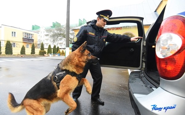Сколько человек за мелкое хищение задержали за неделю сотрудники отдела Департамента охраны в Барановичах Сколько человек за мелкое хищение задержали за неделю сотрудники отдела Департамента охраны в Барановичах