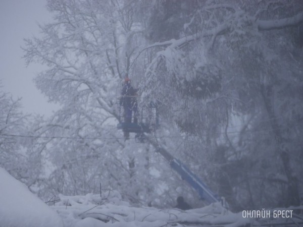 Снегопады в Брестской области сменились ледяным дождем. Энергетики продолжают устранять последствия