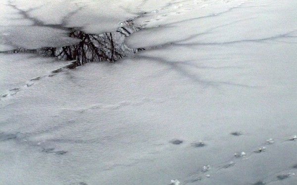 В Лиозно две девочки провалились под лед и сами спаслись В Лиозно две девочки провалились под лед и сами спаслись