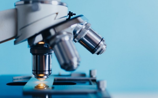 Врач рассказала, какие симптомы указывают на дефицит фосфора в организме Врач рассказала, какие симптомы указывают на дефицит фосфора в организме