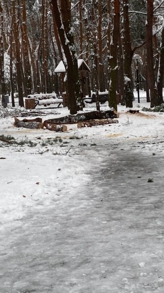 Жителей Бреста просят временно не ходить в парки. И вот почему