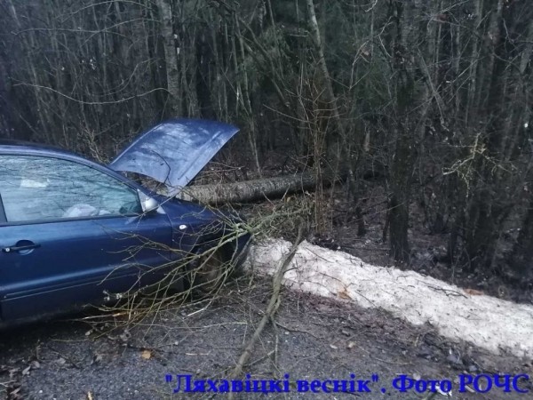 Дерево упало на проезжающий автомобиль под Ляховичами