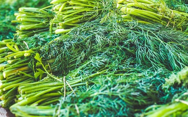 Доктор рассказал, какие продукты помогут избавиться от неприятного запаха изо рта Доктор рассказал, какие продукты помогут избавиться от неприятного запаха изо рта