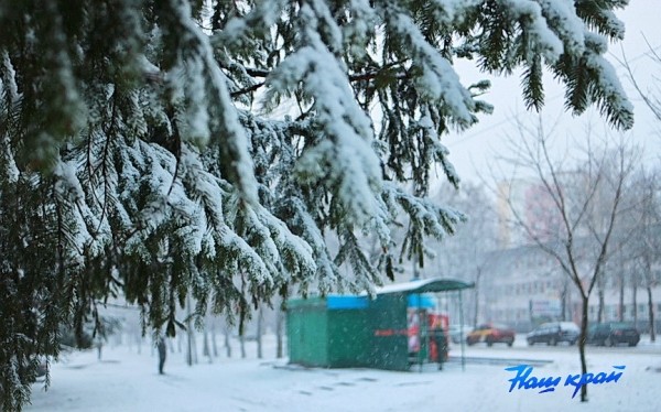 Оранжевый уровень опасности из-за сильного ветра вводится на Брестчине 7 февраля