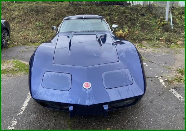 Оригинально, но незаконно: в чем везут контрабанду через границу