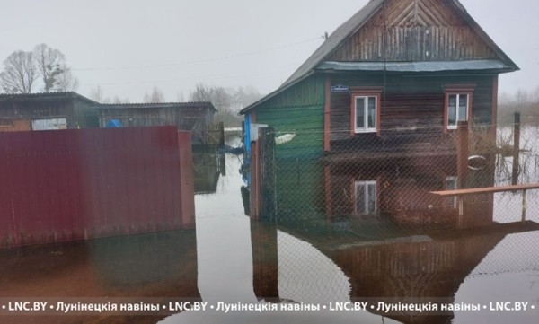 Подтопления подворий фиксируются в Лунинецком районе. Фотофакт