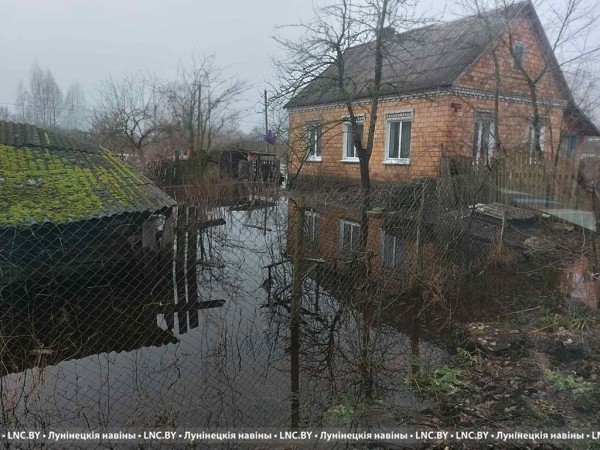 Подтопления подворий фиксируются в Лунинецком районе. Фотофакт
