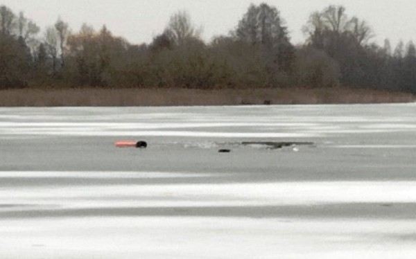 Тонувшего рыбака спасли на водохранилище под Барановичами