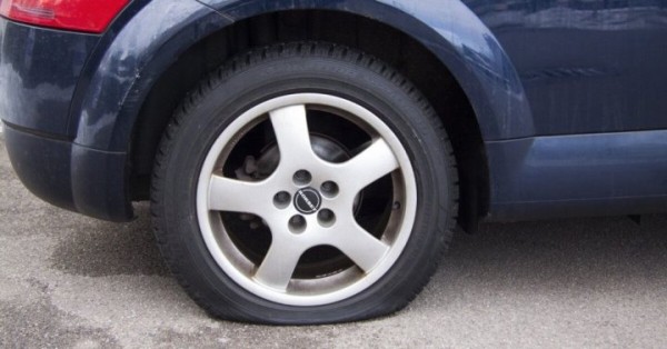 В Гомеле суд оштрафовал соседа, обмазавшего чужое авто фекалиями кота