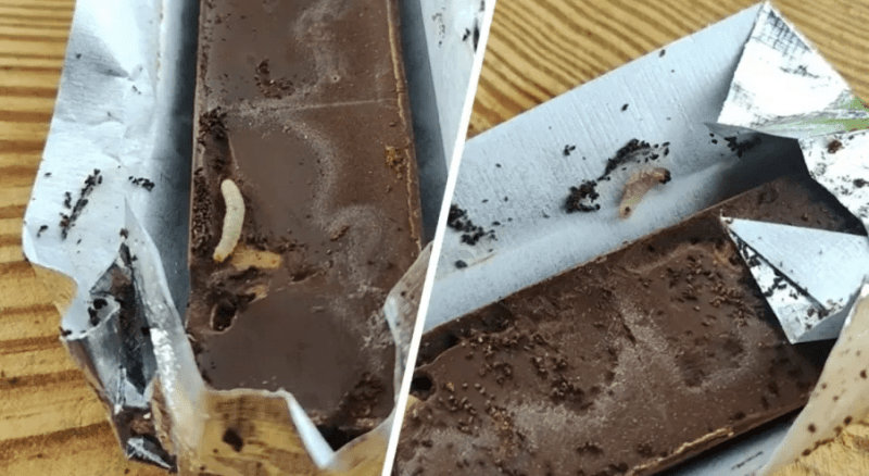 Белорус нашел живых червей в шоколаде «Коммунарка»
											 
												Белорус нашел живых червей в шоколаде «Коммунарка»