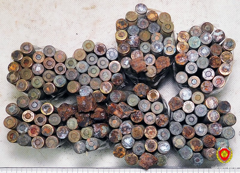 В Барановичах у школьника изъяли стрелковое оружие и множество патронов
В Барановичах у школьника изъяли стрелковое оружие и множество патронов